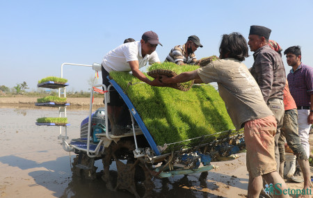 तस्बिरः राजेश